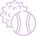 Structured Playtime & Enrichment