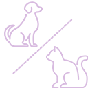 Dedicated Dog & Cat Areas