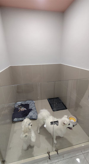 (Dog) Large VIP Room