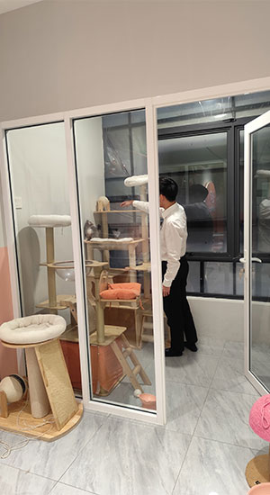 (Cat) Large VIP Room